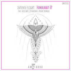 Premiere: Intense Flight - Fomalhaut (Niceshot Remix) [AMITABHA]