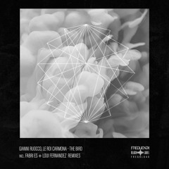 Gianni Ruocco, Le Roi Carmona - The Bird (Original Mix)