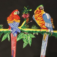 Parrots sing
