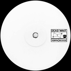 Premiere: Agrippa - Squid Girls [Par Avion]