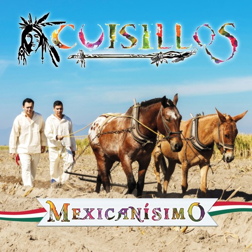 Stream El Bandolero - Banda Cuisillos by Cuisillos | Listen online for free  on SoundCloud
