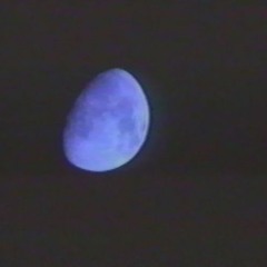 [FREE] Dark Trap Type Beat ,,Moon''