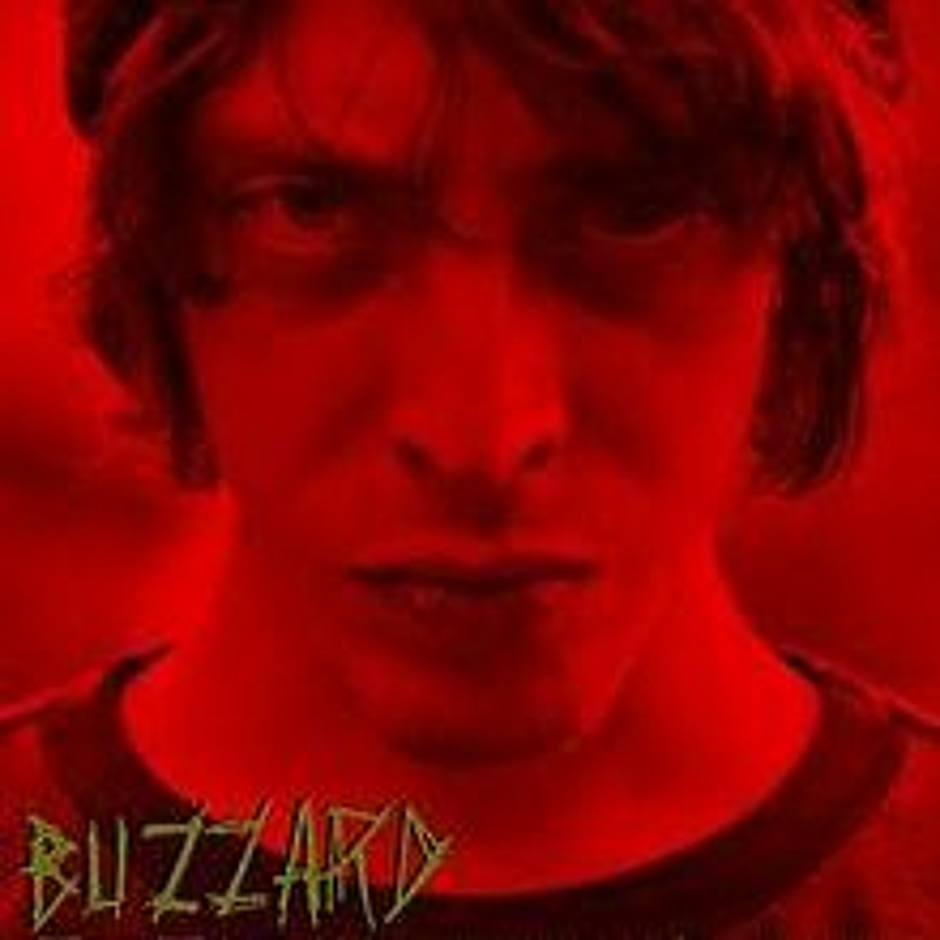 Buzzard (2014) episode artwork