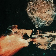 minihorse - Summer Itch