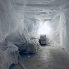 Hypnagogia - Borderland of Sleep