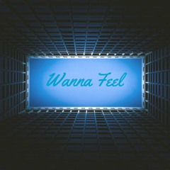 Wanna Feel- Taylor Fit (prod. Novmbr x Boomdock Beats)