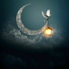 اسلام صبحي - تلاوه هادئه من سوره القصص  - رمضان ١٤٤٠