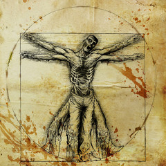 Ajja Psy-Fy 2017 ( Kaa 'Pora Mix ) Treino