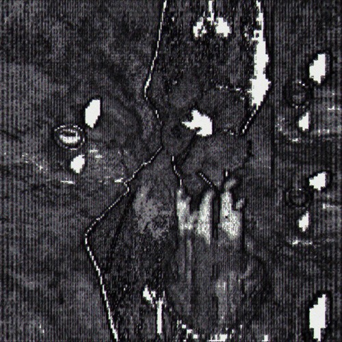 ORGANOISE - THE HELL GATES