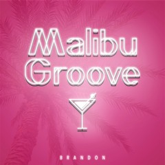 Malibu Groove (from Synthaid Paradise 2018)