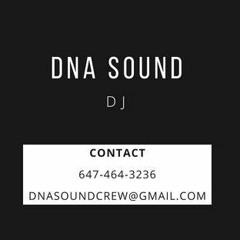 DEEWANI (DNA SOUND REMIX)