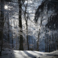 I'm With You in the Dark - Episode 1.5: Is what I'm feeling real?