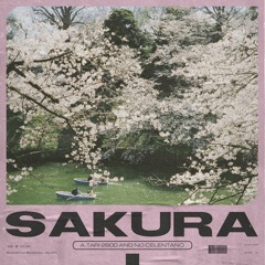 2AM Sakura
