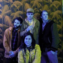 Dizzy Lingo - Summer Sausage (interlude)