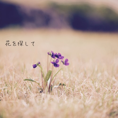 花をさがして