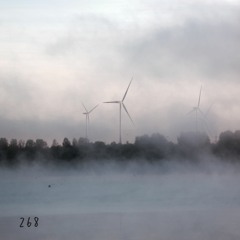 268