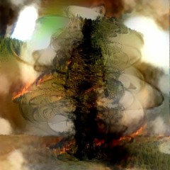The Ground