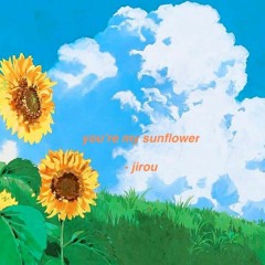 Sunflower Rex Orange Country Female Cover