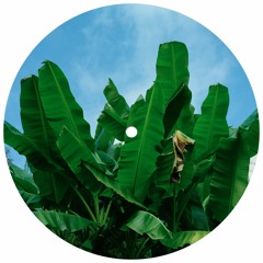 Donny Rotten - Pivot Groove [HZRX]