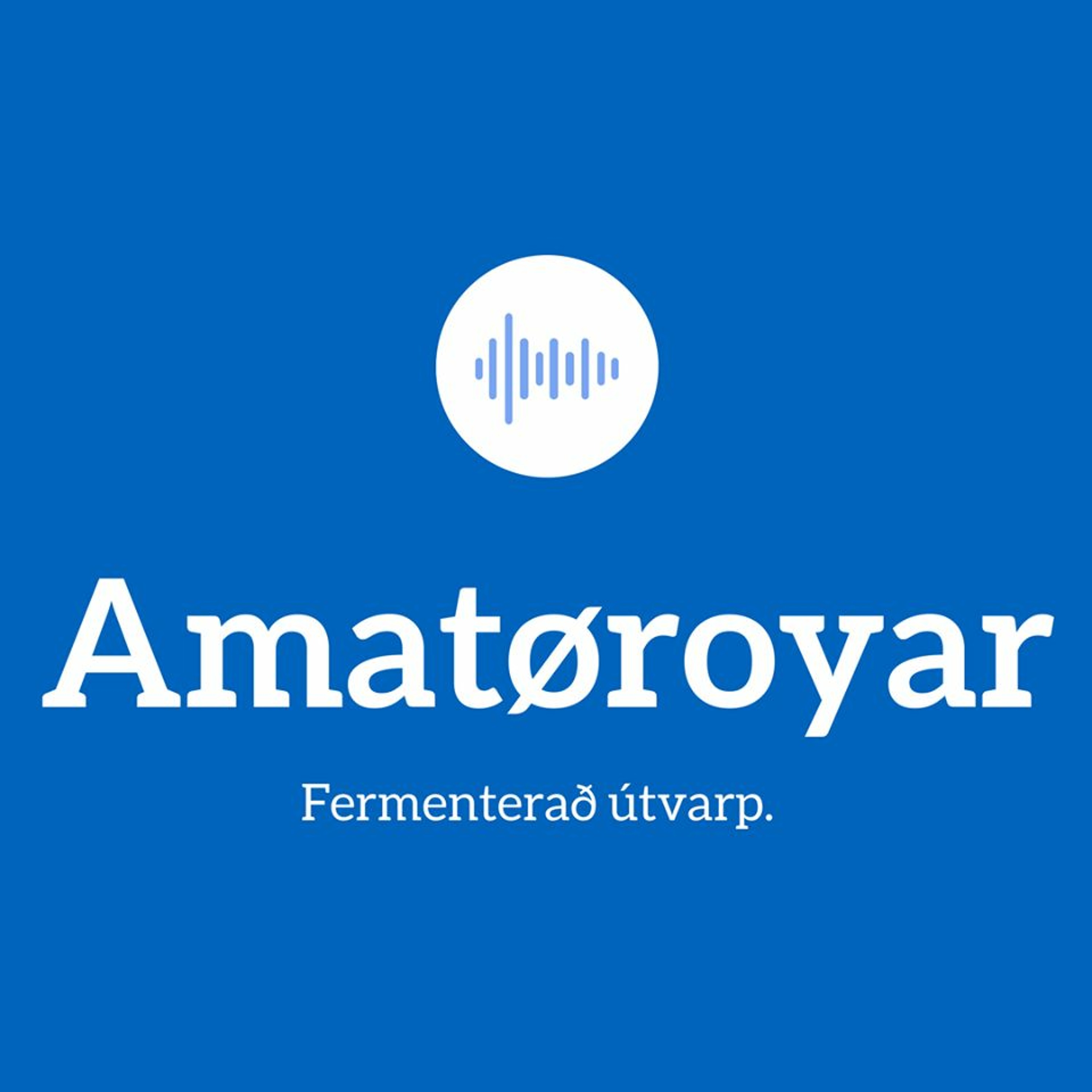 Amatøroyar Special: Fer[ð]mentering í Reykjavík episode artwork