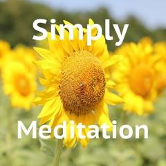 Simply Meditation