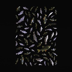 20 04 19 Nono - Teil 2: Verstörend Betörend (objekt klein a)