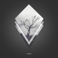 PREMIERE: Twelve Trees - EROS (Original Mix) [HOVER MIND]