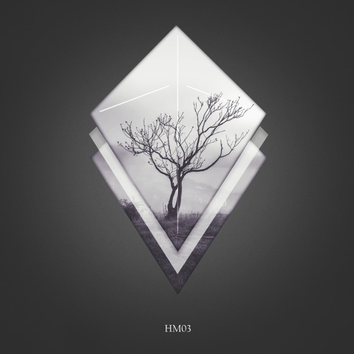 PREMIERE: Twelve Trees - EROS (Original Mix) [HOVER MIND]