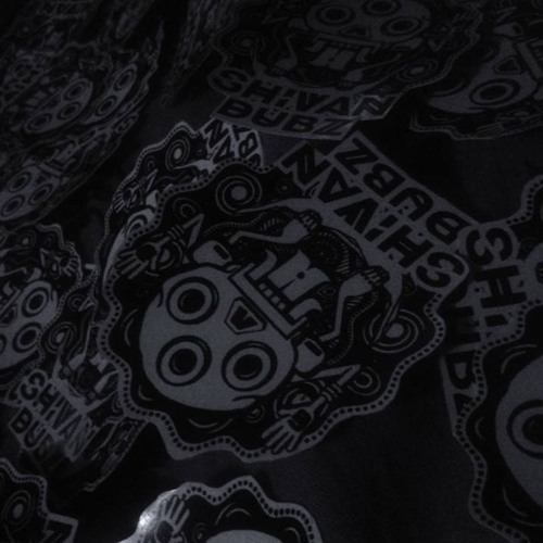 02 - SHIVAN DUBZ - ASTRO - DUBPLATE - MIX 1 -  MIX DUB