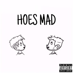 Hoes Mad (Diss Track)