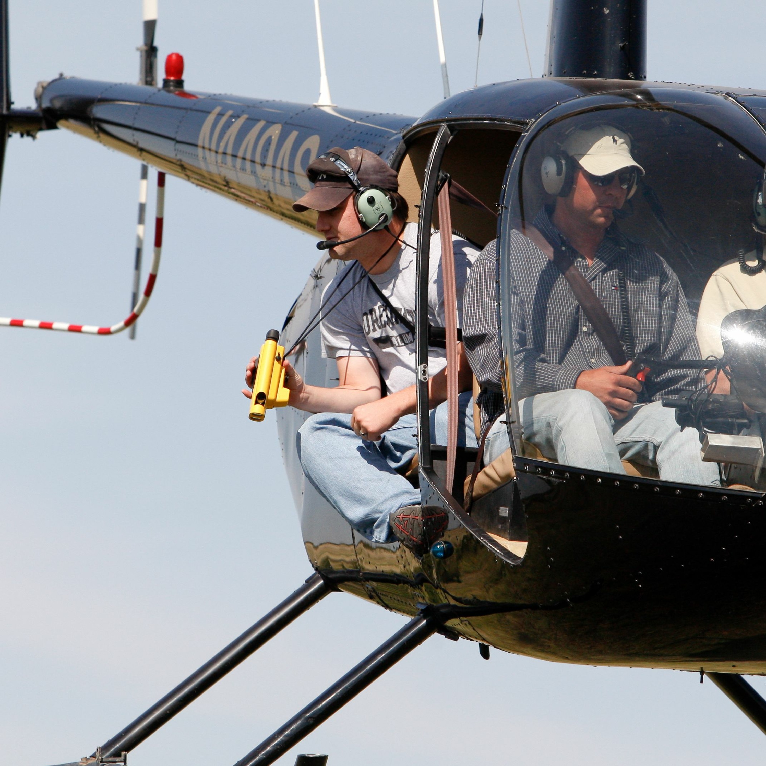 Dr. Dale on Quail