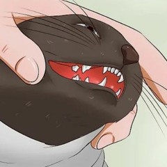 Please Come Home (Demo)