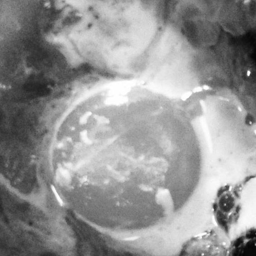 Stream sexdad Listen to where we re at playlist online for free  