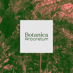 Botanica - Arecaecae