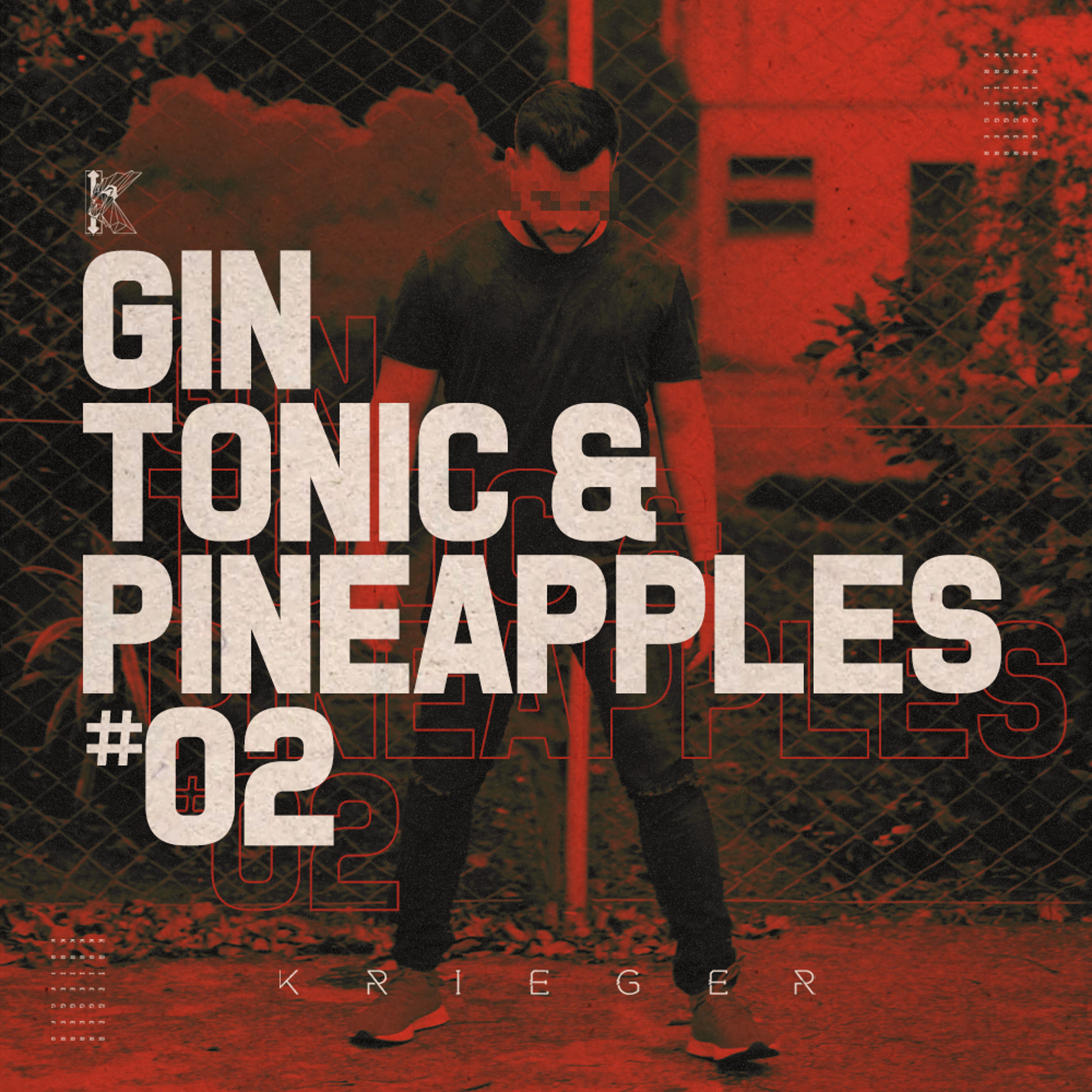 gin tonic & pineapples