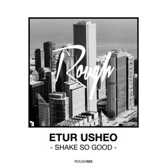 Etur Usheo - Shake So Good (Ruff Stuff Remix)
