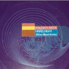 Phunky Data - Hard Night (Ethan Wood Remix)*** FREE DL ***