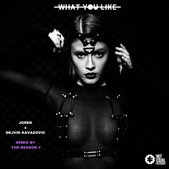 Dejvid Kavazovic & Jorek - What You Like (The Reason Y Remix)[Snip]