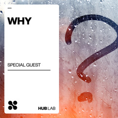 Special Guest - Why (Extended Mix)