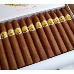 I'm Coming Back Home