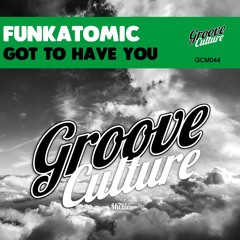 Funkatomic - Got To Have You (Original Mix)