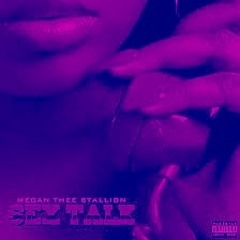 Megan Thee Stallion - Sex Talk (Chopped & Screwed)