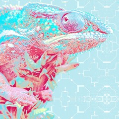 Polar Vortex (Meditation)