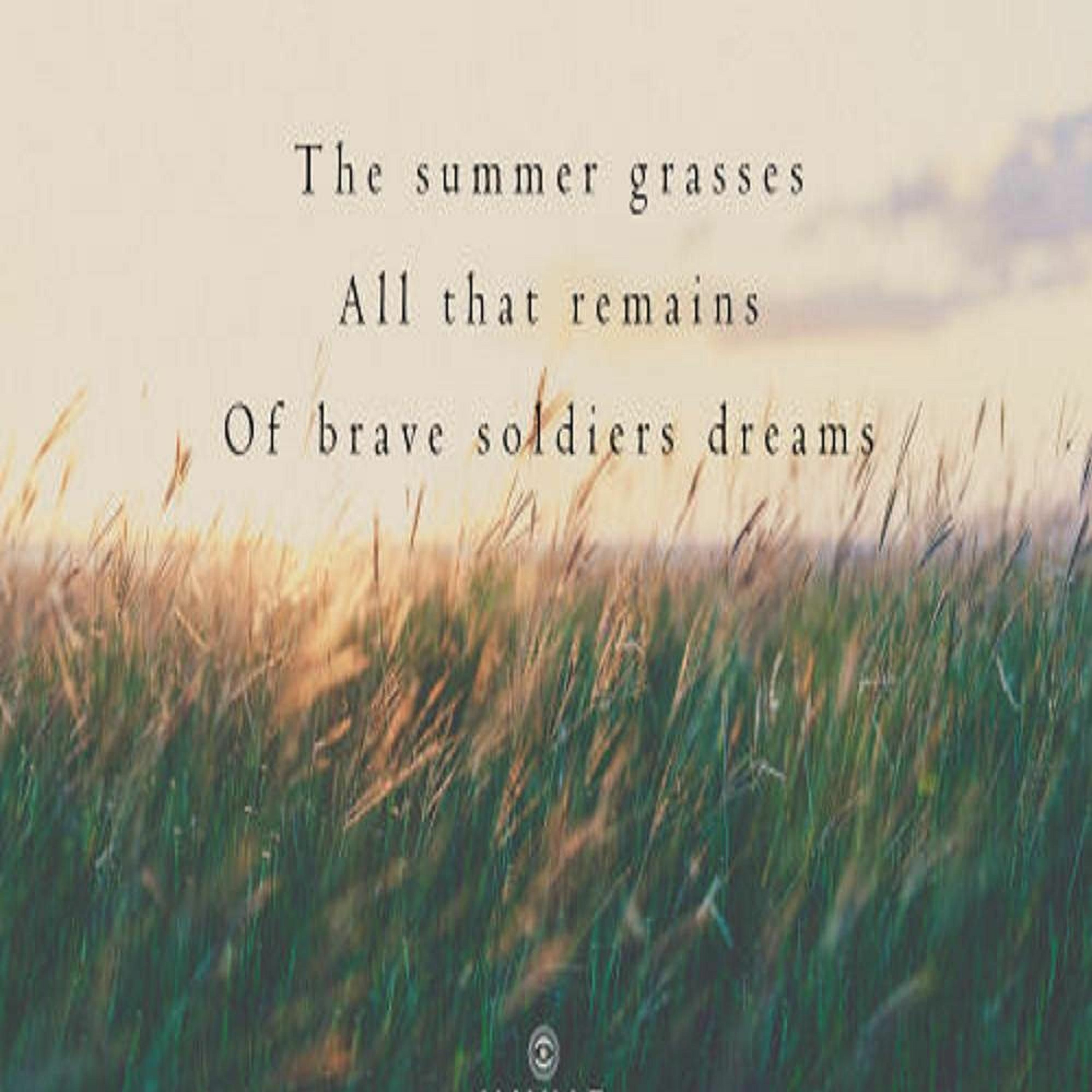 The Summer Grasses - All That Remains Of Brave Soldiers Dreams (Naviarhaiku 281) episode artwork