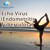 Artwork for Frequency Heals - Echo Virus (Endometritis Tuberculosa) (VEGA)