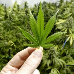 Heavy ft. Yung Drew ( Prod. by Scholar )