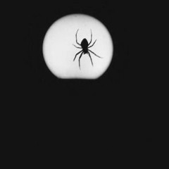 ASTERIA MUSIC FESTIVAL 2017