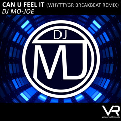 Can You Feel It (WHYTTYGR Breakbeat Remix)
