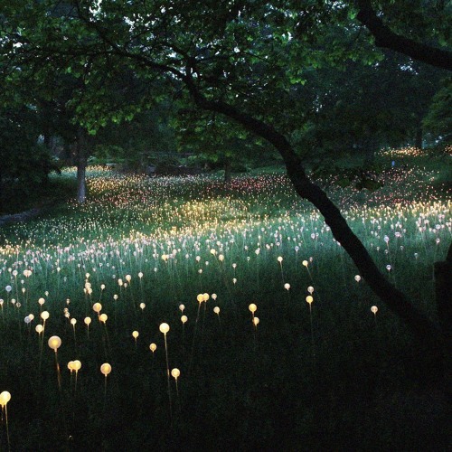 EATA - Fragile (Fly Away)