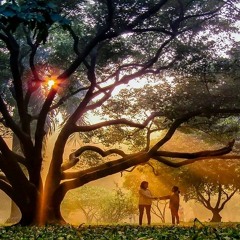 শহরবন্দী মেঘ - মেঘদল  - Shohorbondi Megh - Meghdol BY #QUEENS